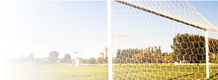 Soccer Netting - Tree (756x175), Png Download
