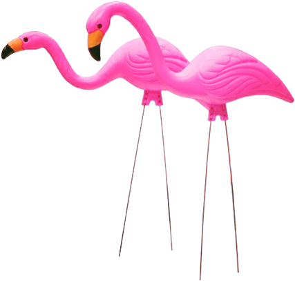 Plastic Flamingo Png - 26 In. Pink Flamingo (2-pack) (487x472), Png Download