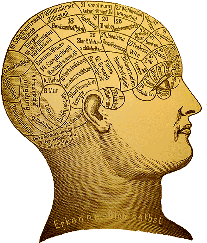 Phrenology - Analysis Of The Phenomena Of The Human Mind (800x940), Png Download