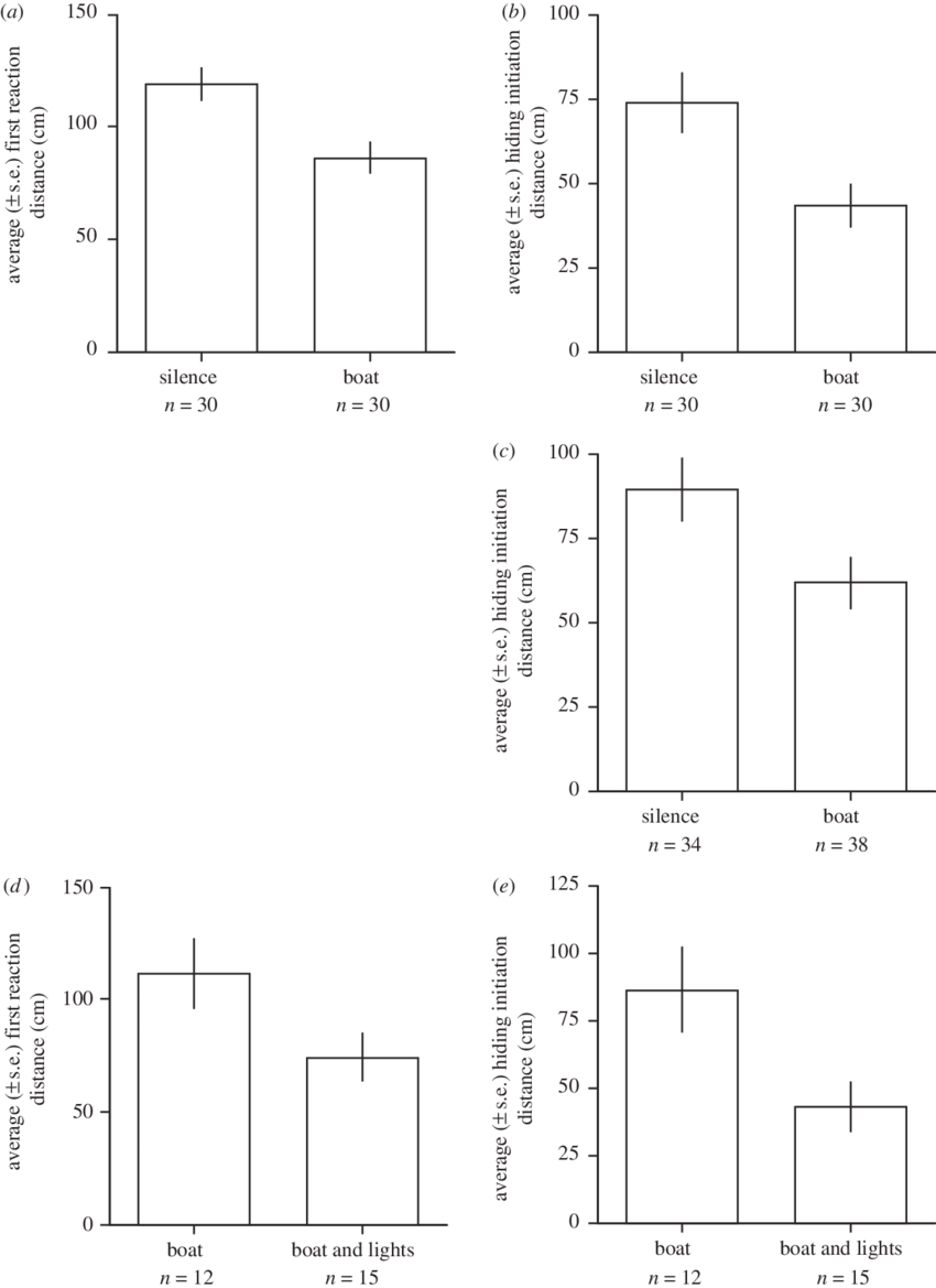 The Response Of Hermit Crabs To Approaching Threats (850x1169), Png Download