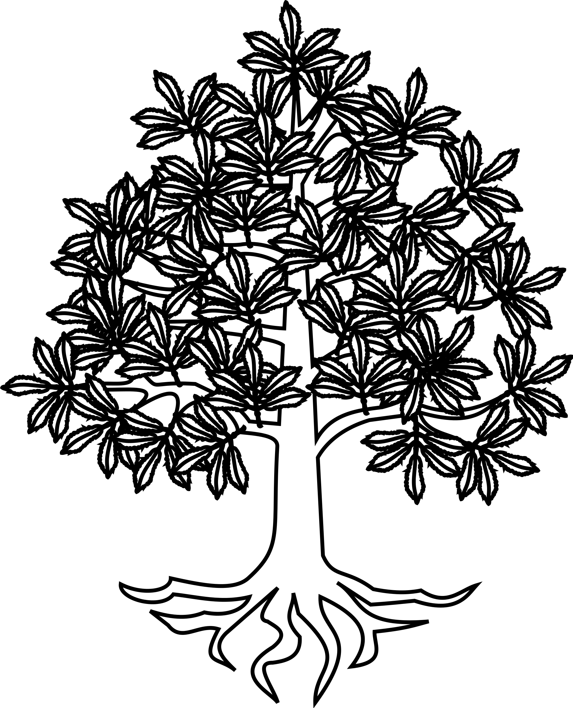 Tree Roots Vector Png (2000x2470), Png Download