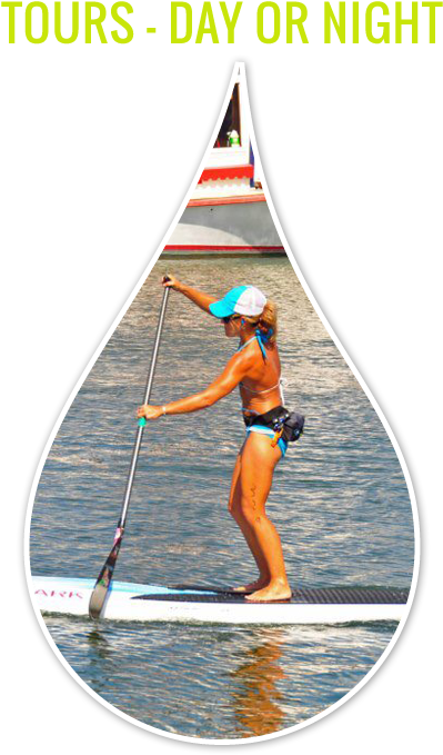 Paddle Board Png (500x713), Png Download