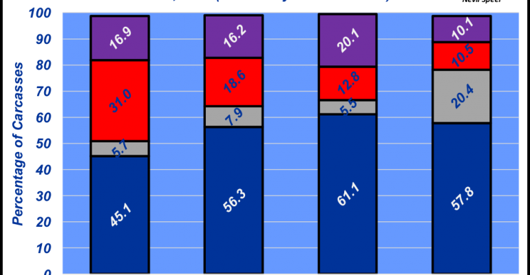 September 2017 Holstein Cattle Growing In Beef Business (770x400), Png Download