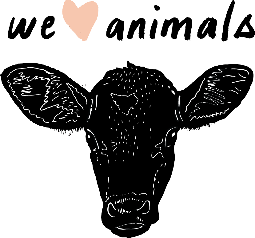 Cattle (829x775), Png Download