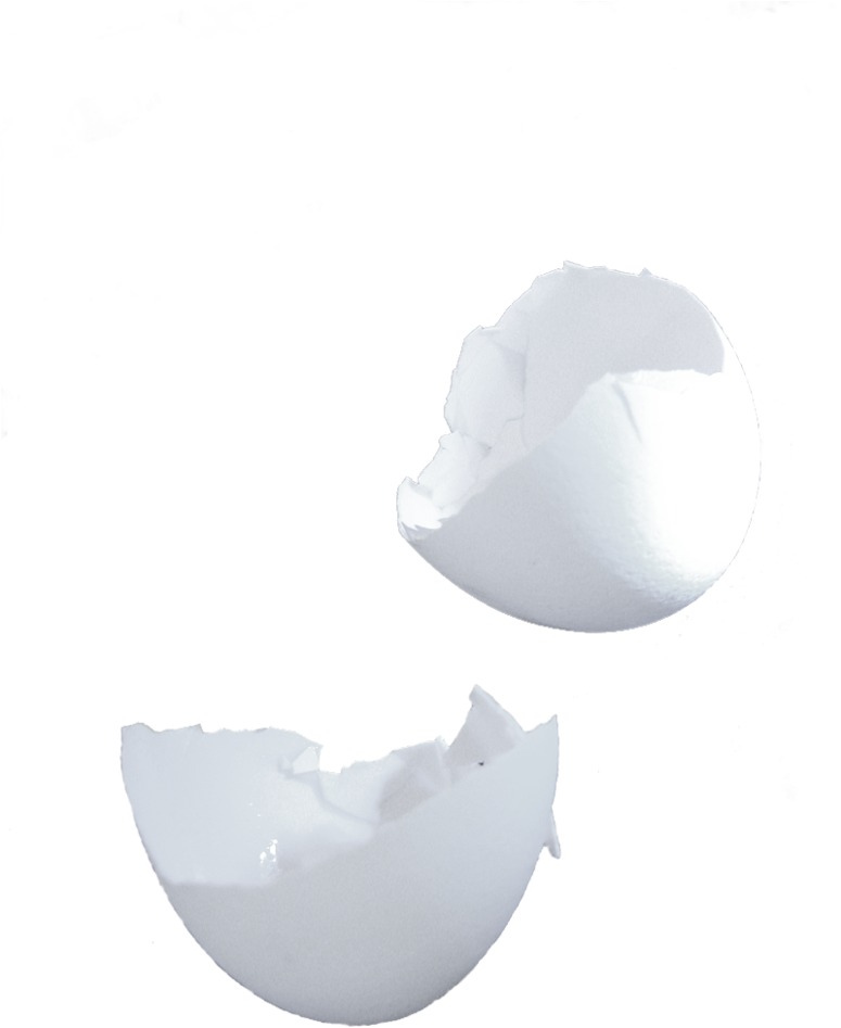 Egg Shell Png (774x1032), Png Download