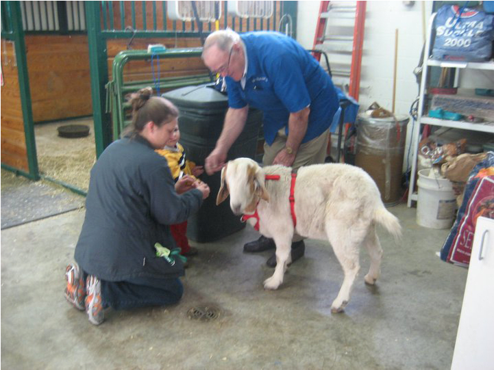 Lee's Summit Animal Hospital Doesn't Just Provide Service (1000x594), Png Download