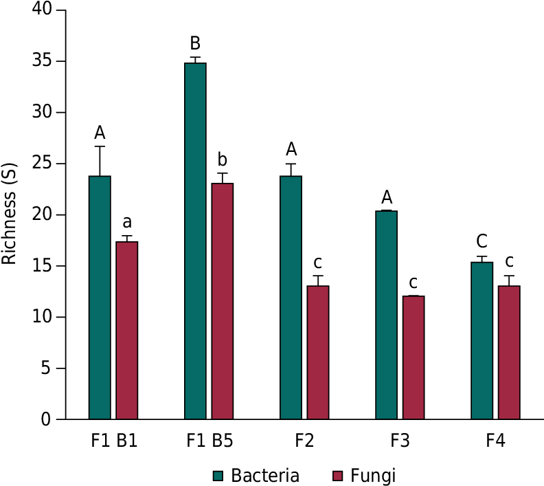 Diversity Of Fungal And Bacterial Communities As Evaluated (794x714), Png Download