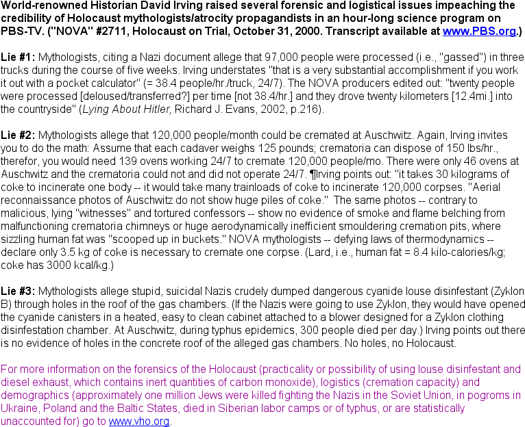Holocaust 'didn't Happen' (770x639), Png Download