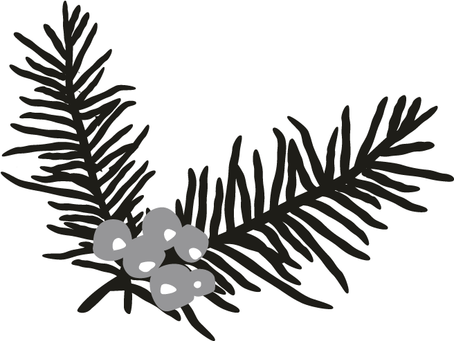 Holly Branch Motif (696x696), Png Download