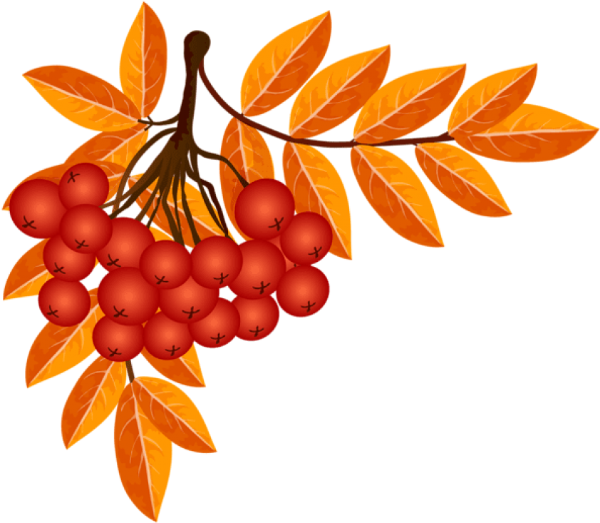 Free Png Fall Decoration Png Images Transparent (850x740), Png Download