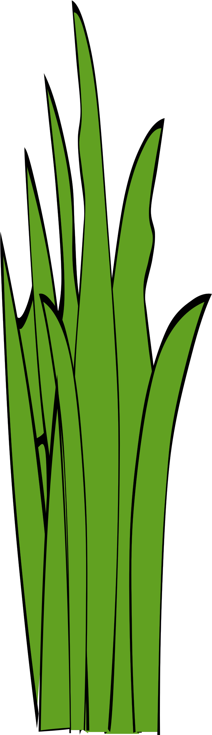 This Free Icons Png Design Of Grass Blades And Clumps (692x2400), Png Download