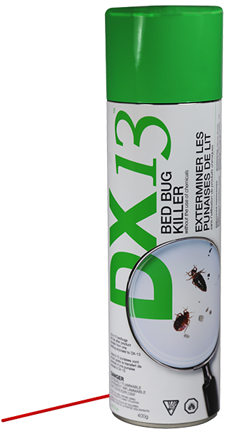 Bed Bug Sos (601x601), Png Download