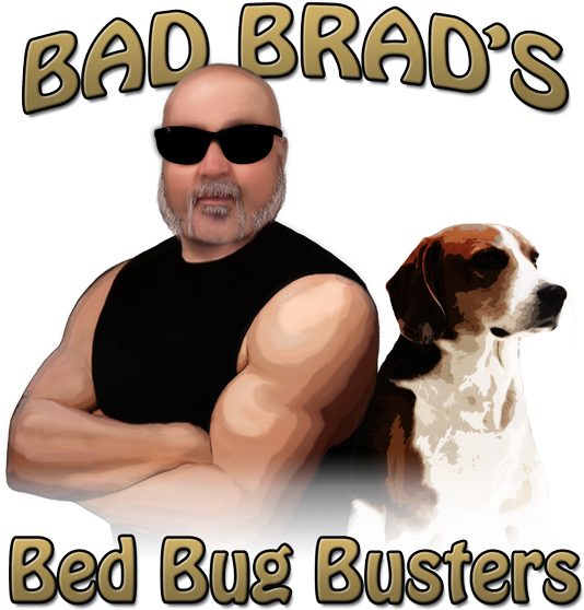 Bad Brad's Bed Bug Busters (600x581), Png Download