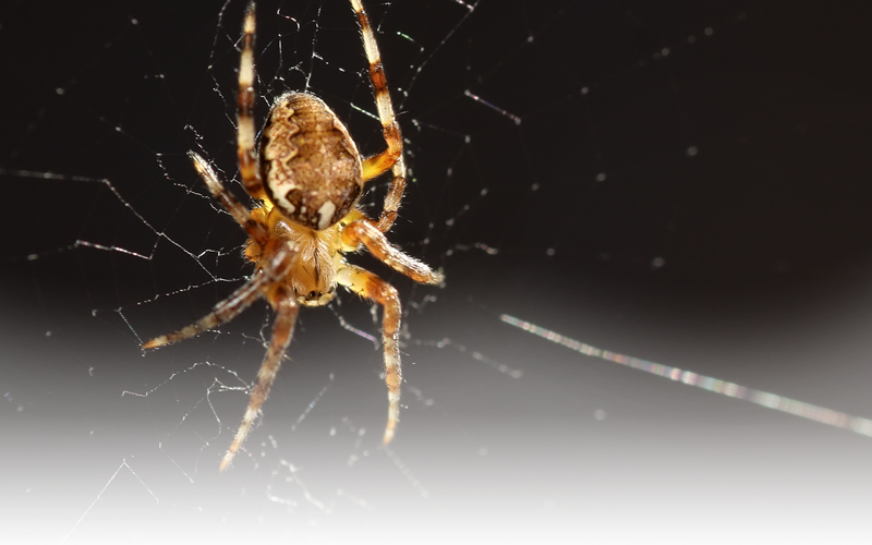 Shopping Cart (800x500), Png Download