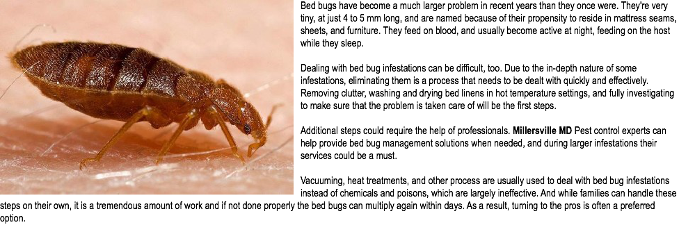 Bed Bug Extermination Millersville Md Bed Bugs Have (976x324), Png Download