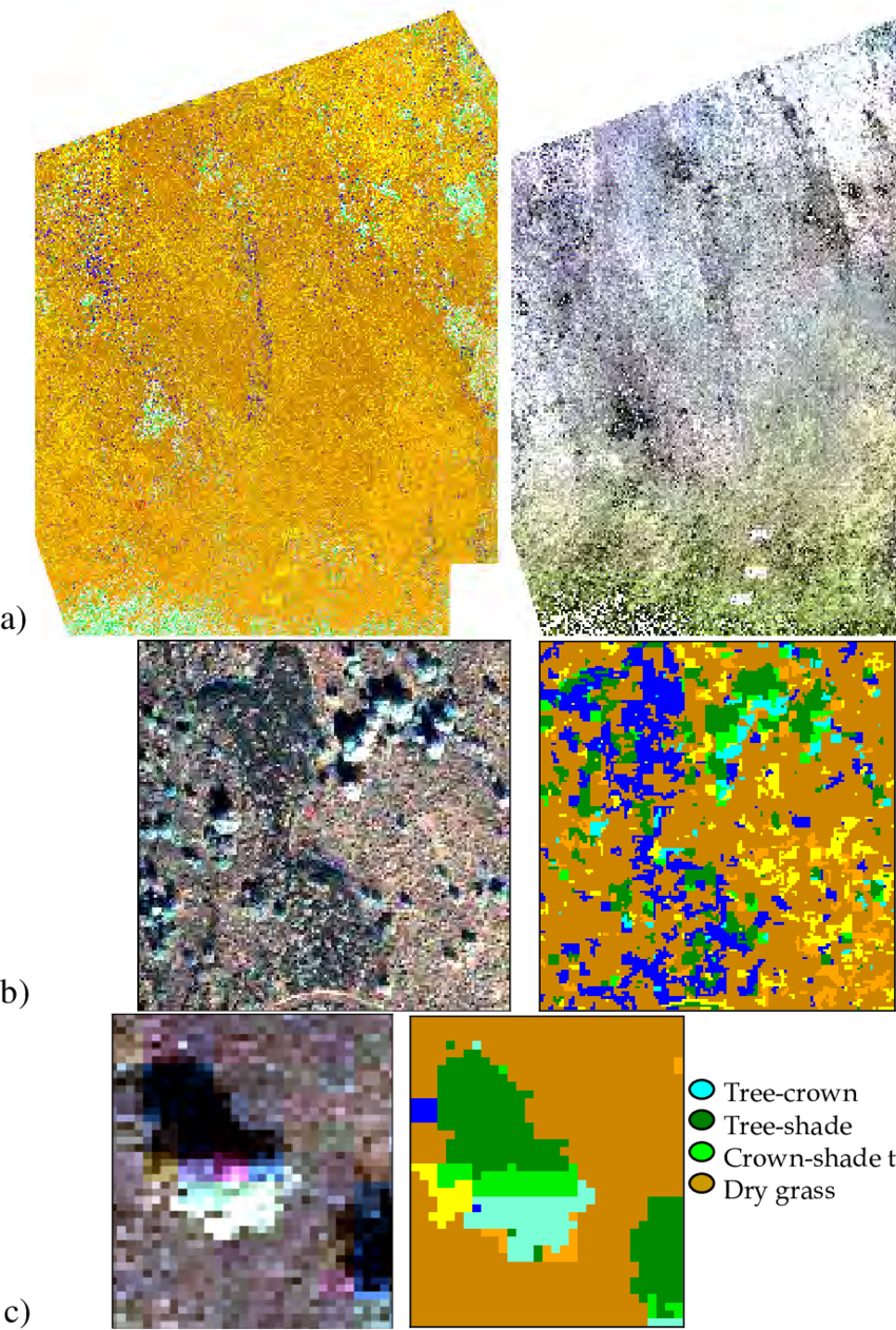 A Dry Forest Ecosystem From The North Kona Region In (850x1262), Png Download