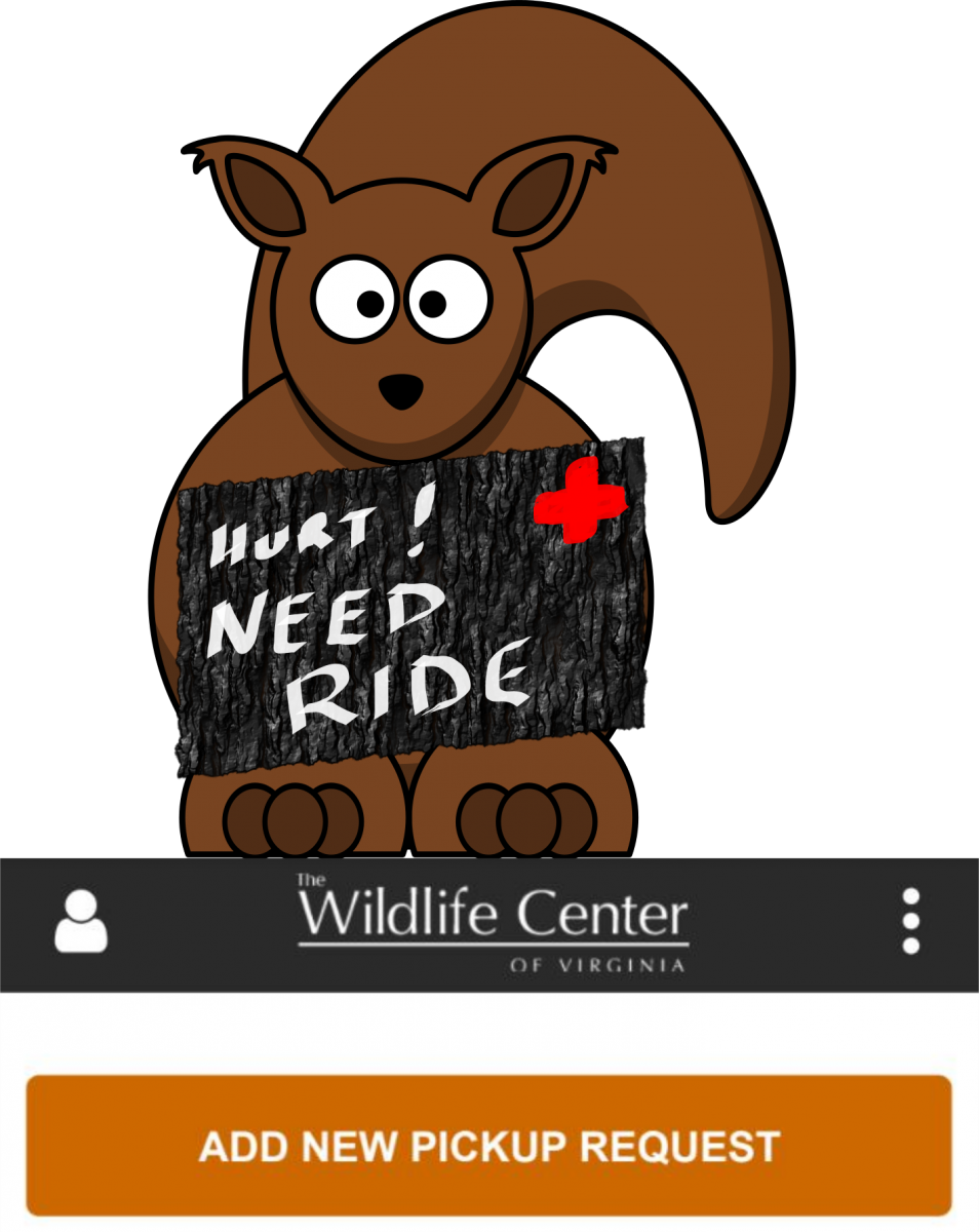 Enter The Mythical Transporter App (954x1200), Png Download