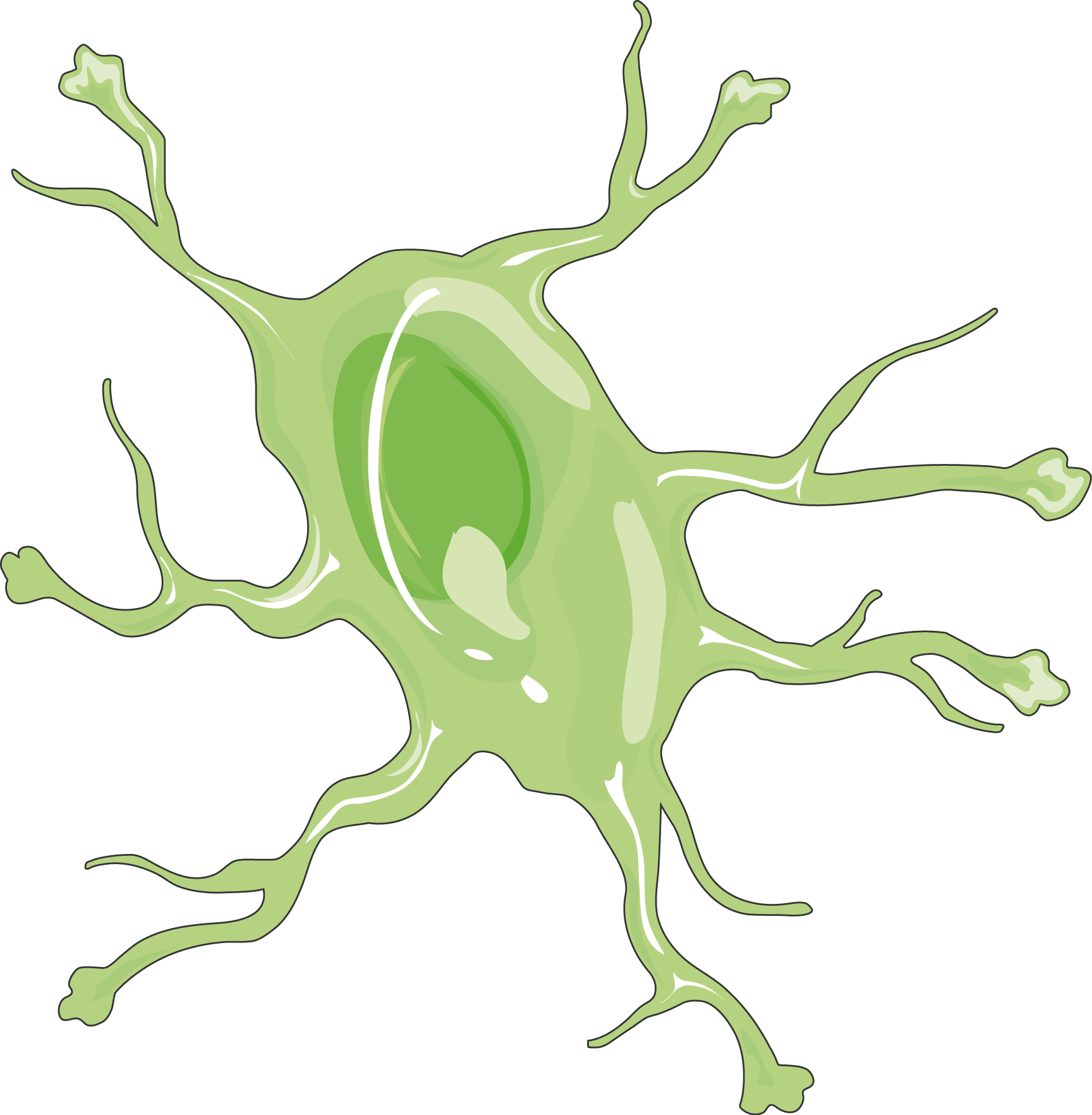 Astrocyte (1728x1764), Png Download
