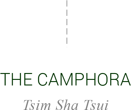 Transparent Tumblr Words Png (1081x389), Png Download