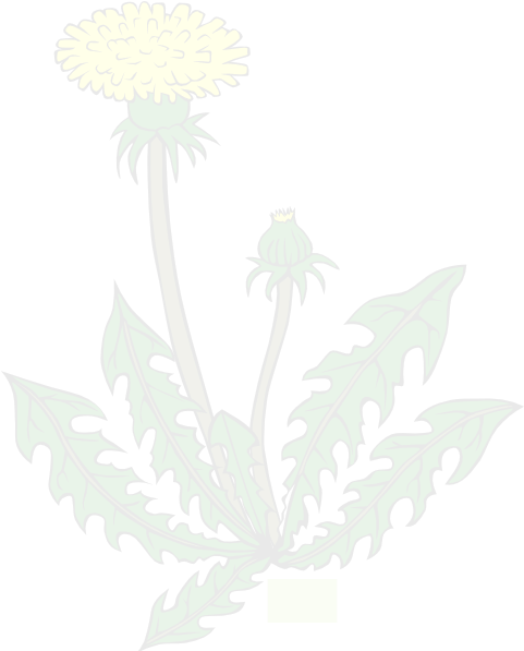 Weed Control Raleigh (960x600), Png Download