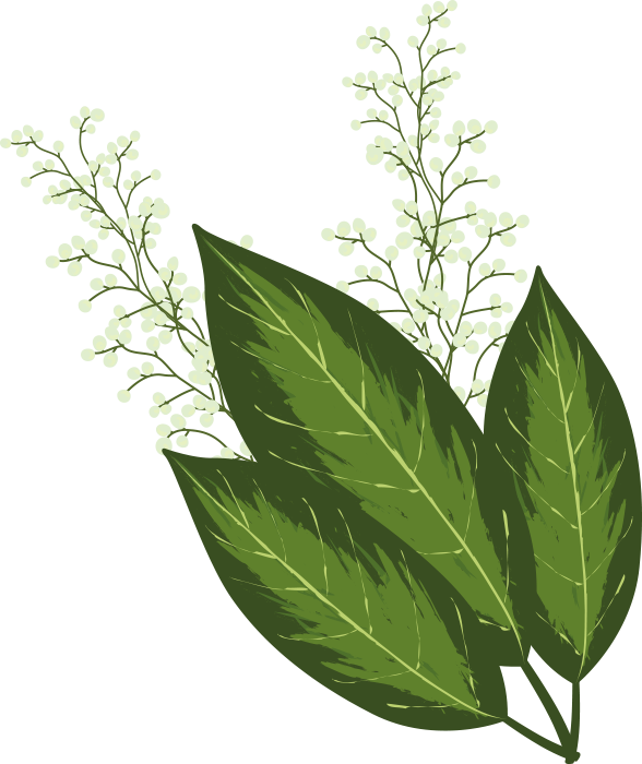 Four Seasons Weed Management (588x700), Png Download