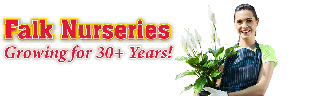 We Grow Every Year (1026x313), Png Download