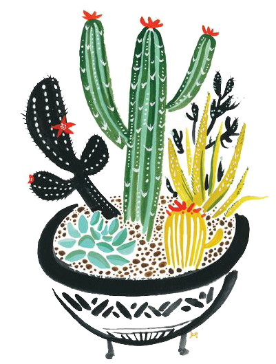 Cactaceae Succulent Plant Painting Painted Cactus Handpainted (564x564), Png Download