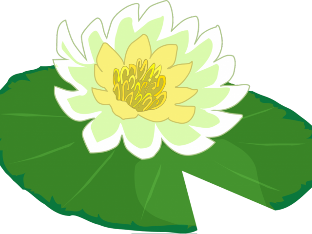 Lily Pad Clipart Water Lily (640x480), Png Download