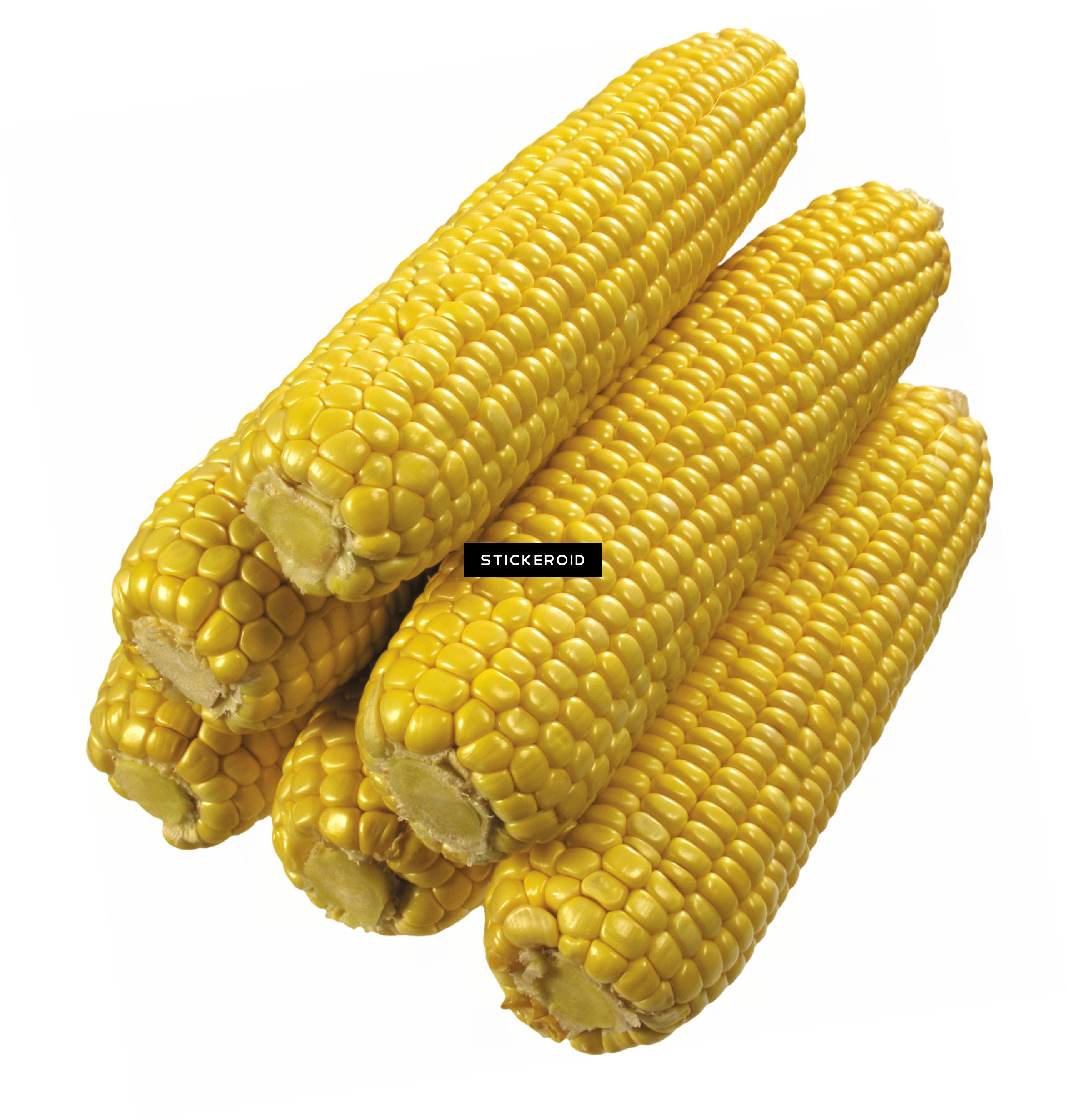 Corn (2771x2912), Png Download