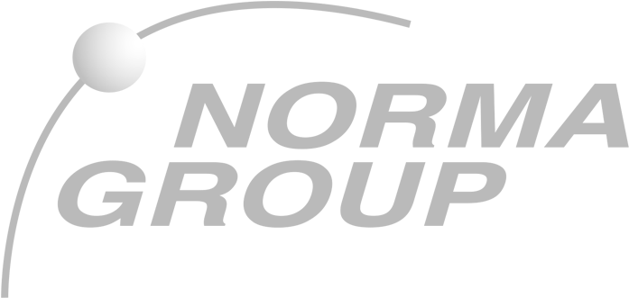 Norma-grey (796x506), Png Download