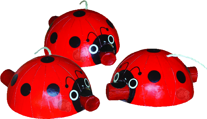 Lady Bugs (700x700), Png Download