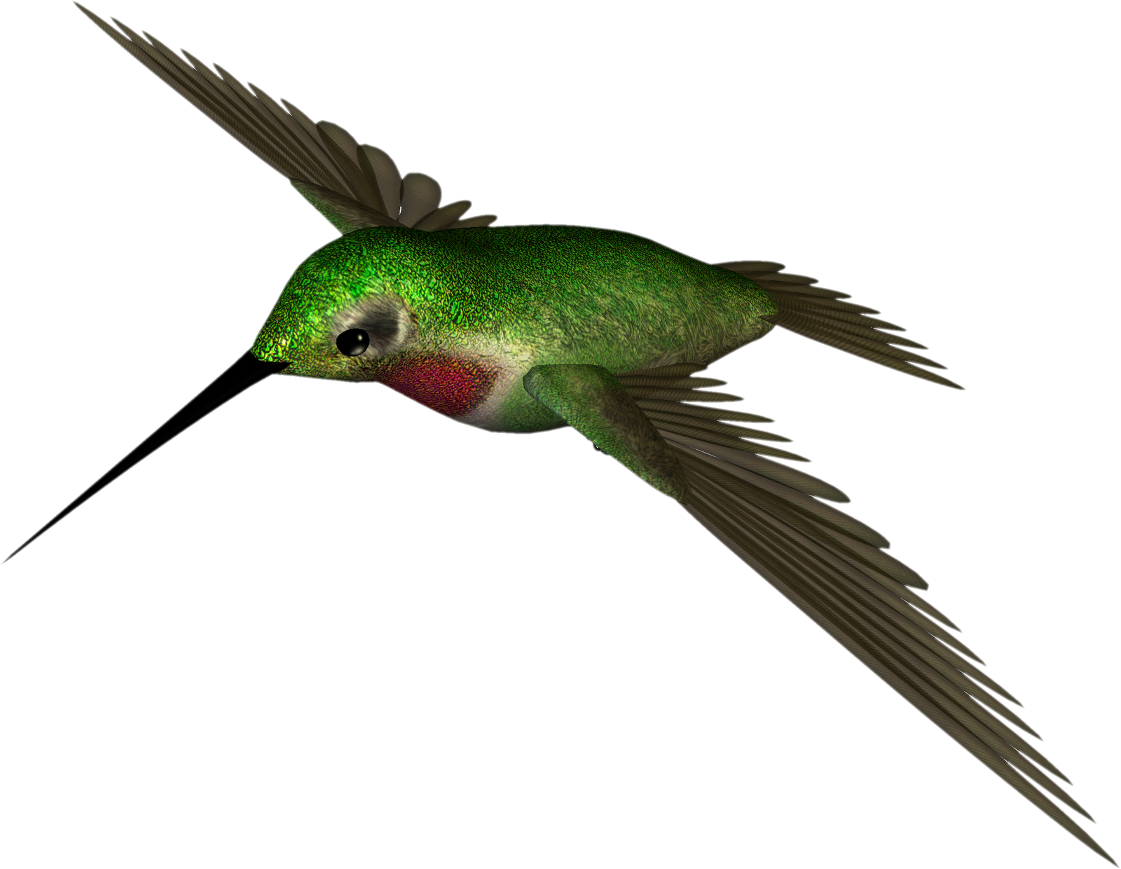 Humming Bird Png (1600x1240), Png Download
