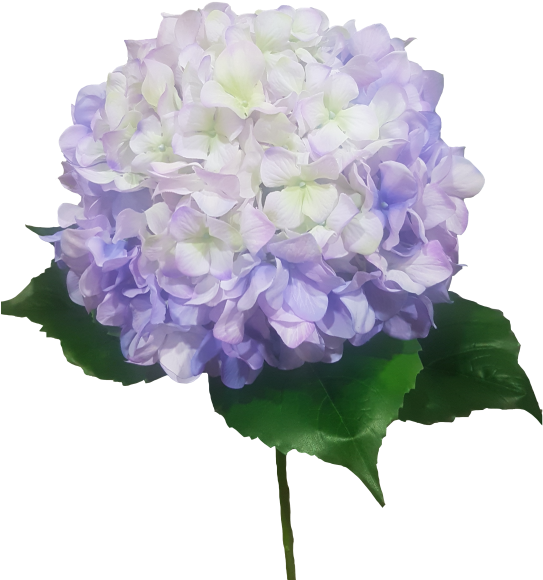Giant Lavender Hydrangea Silk Wedding Bouquets \u0026 (800x600), Png Download