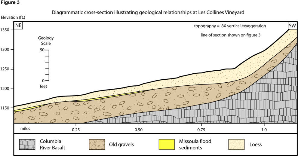 Fig3test (1000x523), Png Download