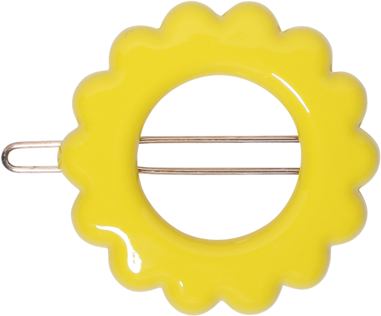 Daisy- (1000x1000), Png Download