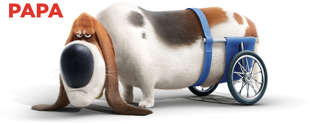 Pops / Papa A Legöregebb És Legbölcsebb Kutya Mind (998x395), Png Download