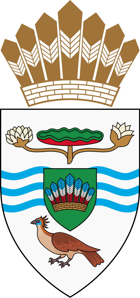 Arms Of The President Of Guyana (480x1023), Png Download