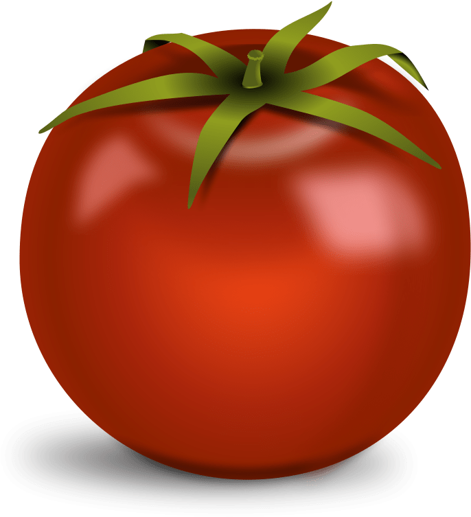 Tomato Transparent Image Png Images (768x800), Png Download