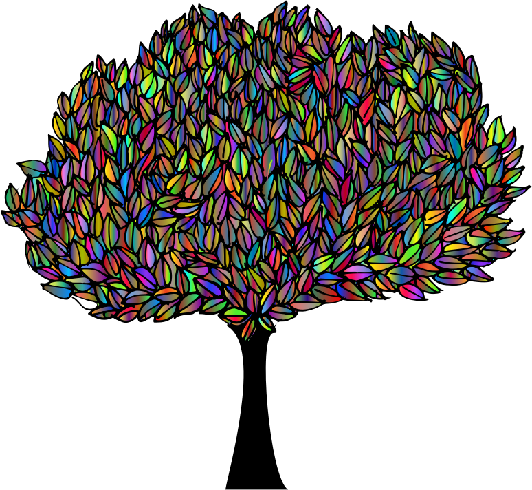 Banyan Tree Polyprismatic (774x712), Png Download