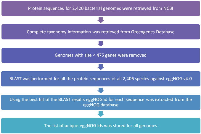 Blast Was Performed For All Proteins Of The Selected (796x451), Png Download