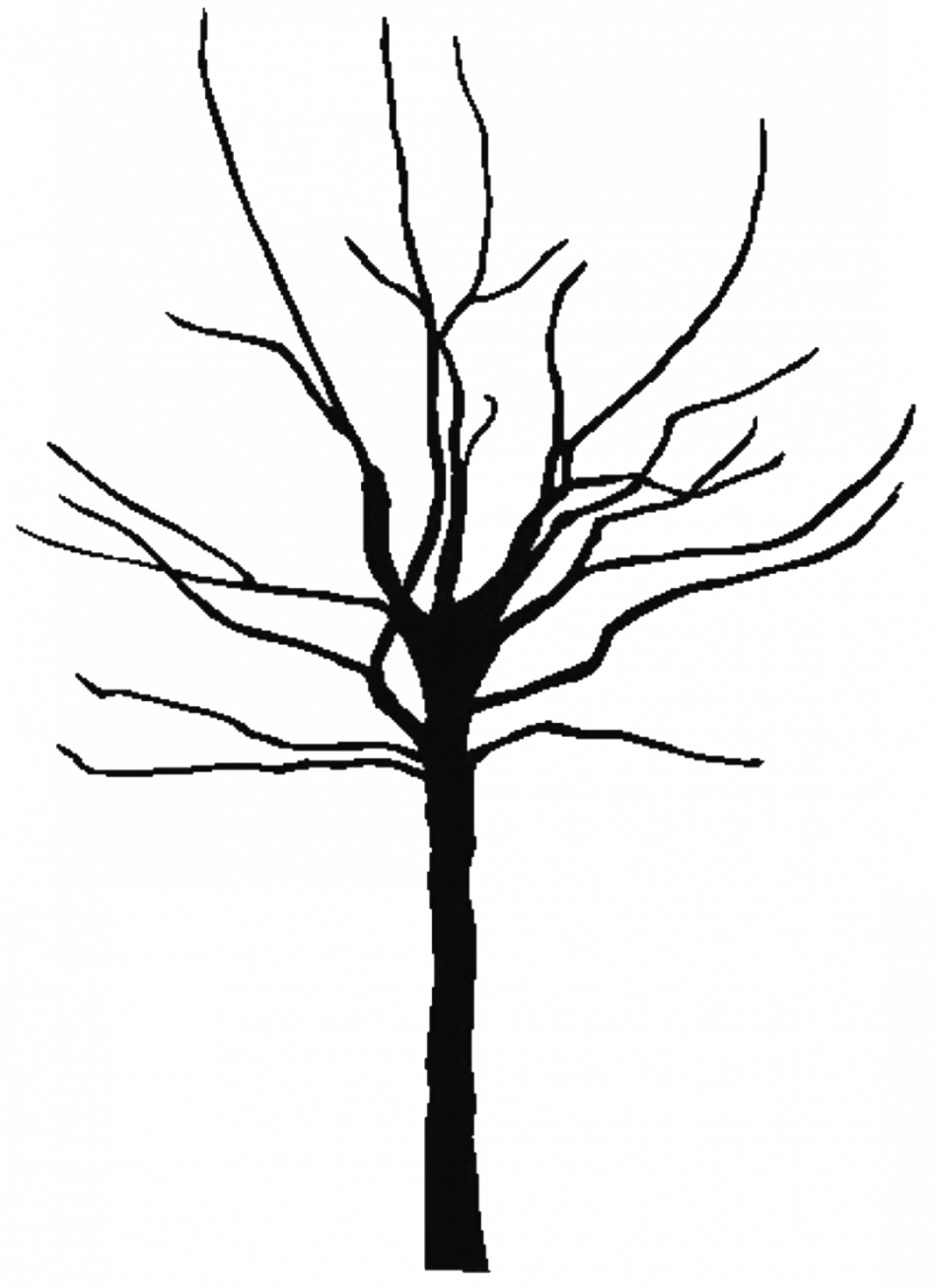 Banner Library Tree Silhouette At Getdrawings Com Free (948x1306), Png Download