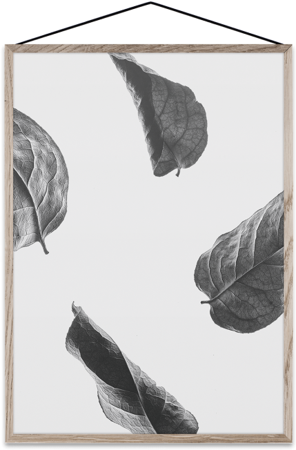 Floating Leaves (463x700), Png Download