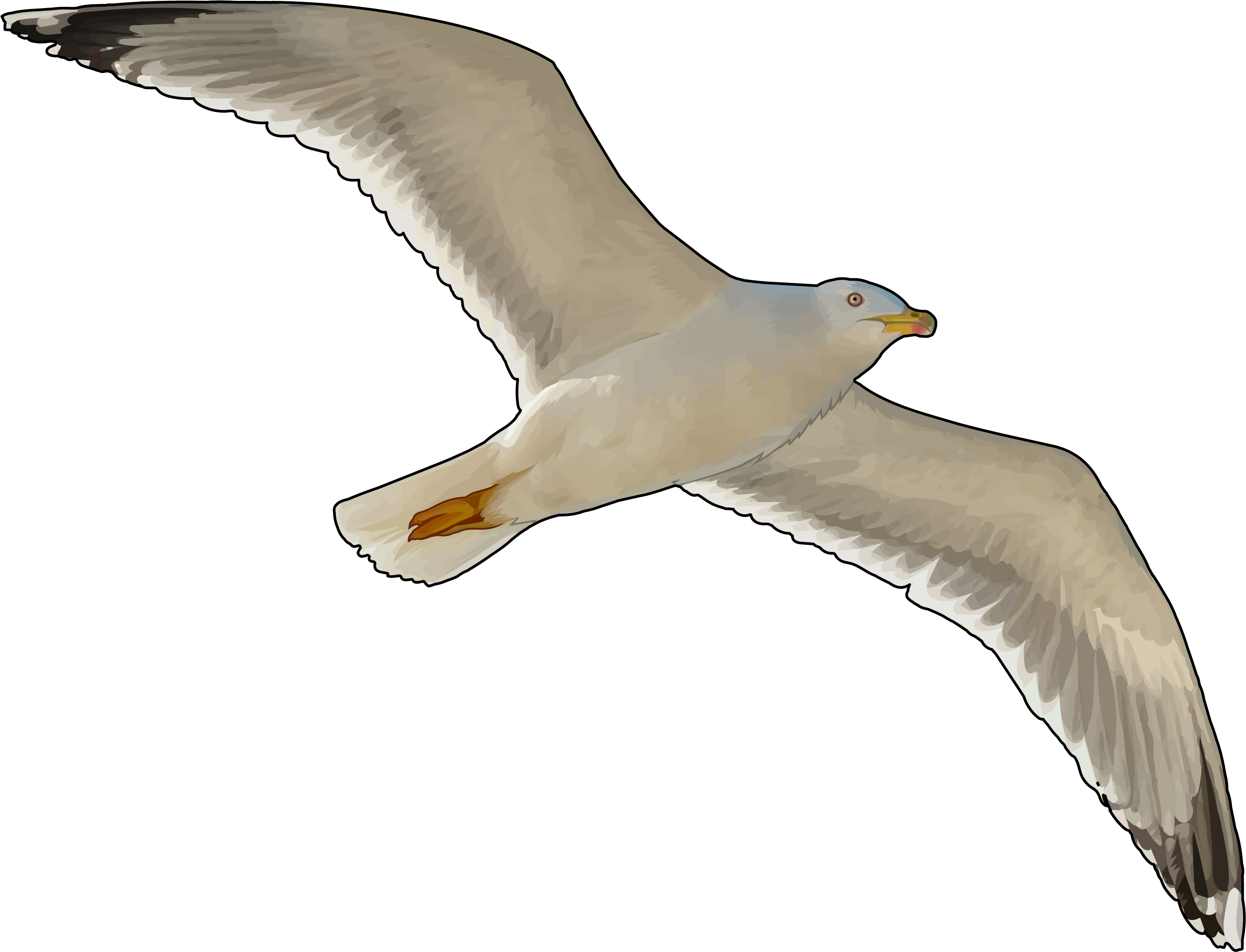 Canario Volando (3508x2480), Png Download