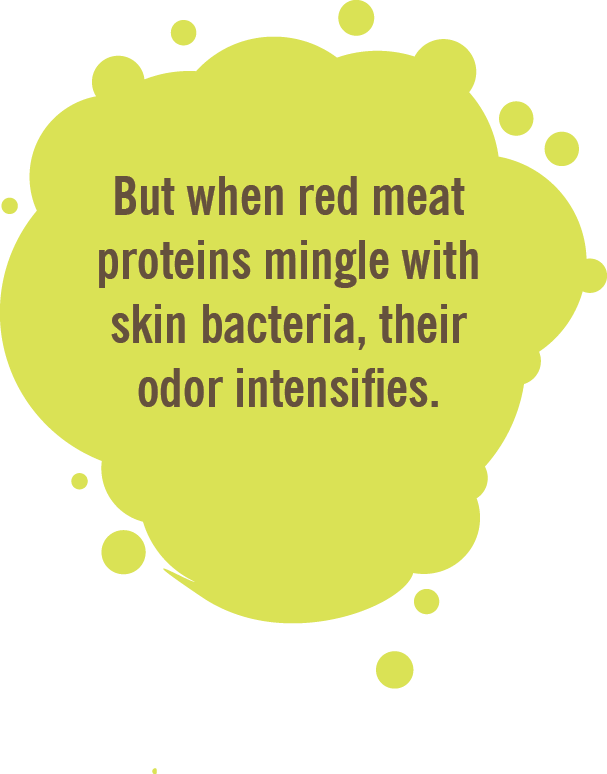 Red Meat Can Release Odorless Proteins Through Perspiration (607x774), Png Download