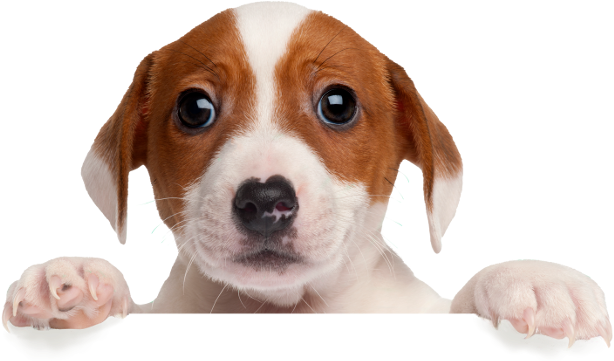 06 Jul 2018 (912x412), Png Download