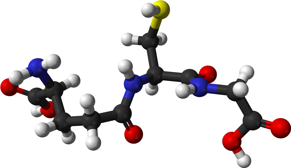 Glutathione, The Master Antioxidant (1100x677), Png Download