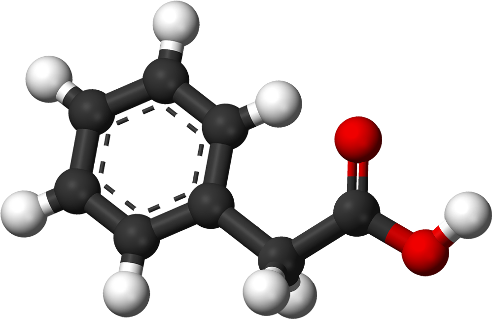 Phenylacetic Ac (1097x746), Png Download