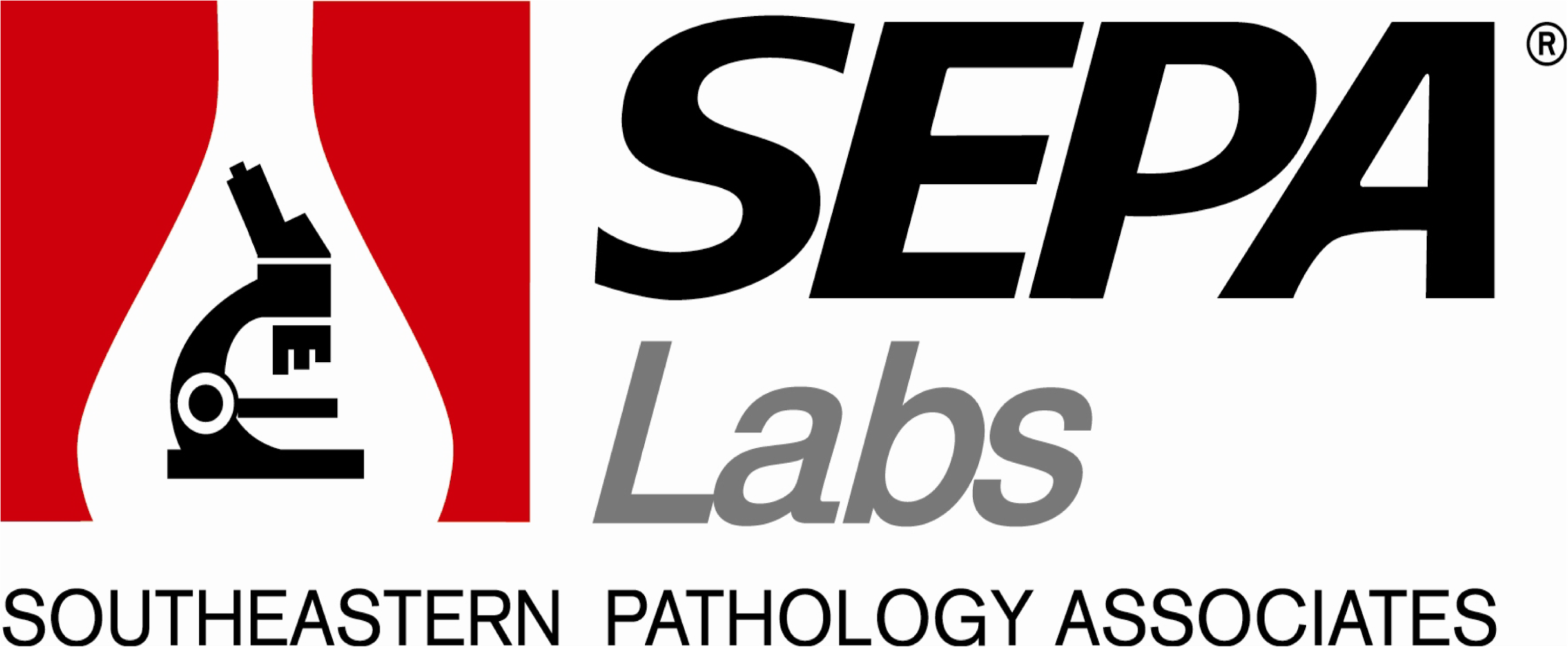 Pay Now Png (4800x1815), Png Download