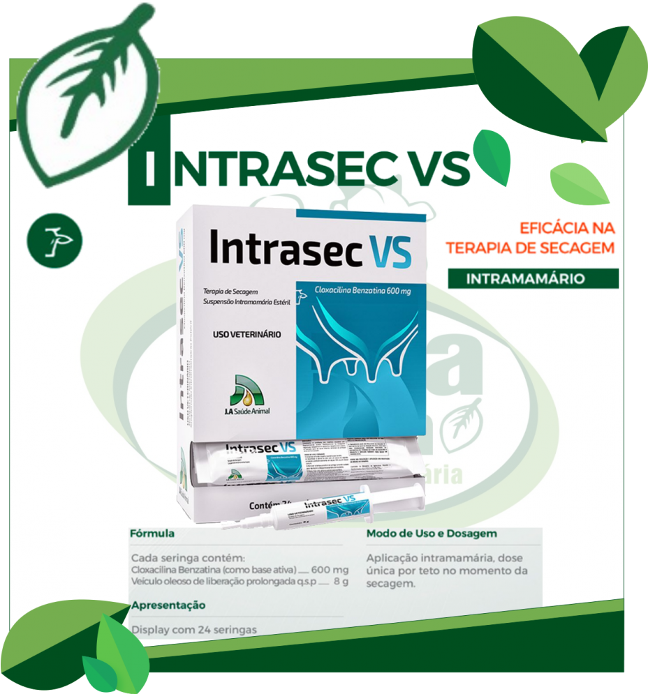 Seringa Png (1200x1000), Png Download