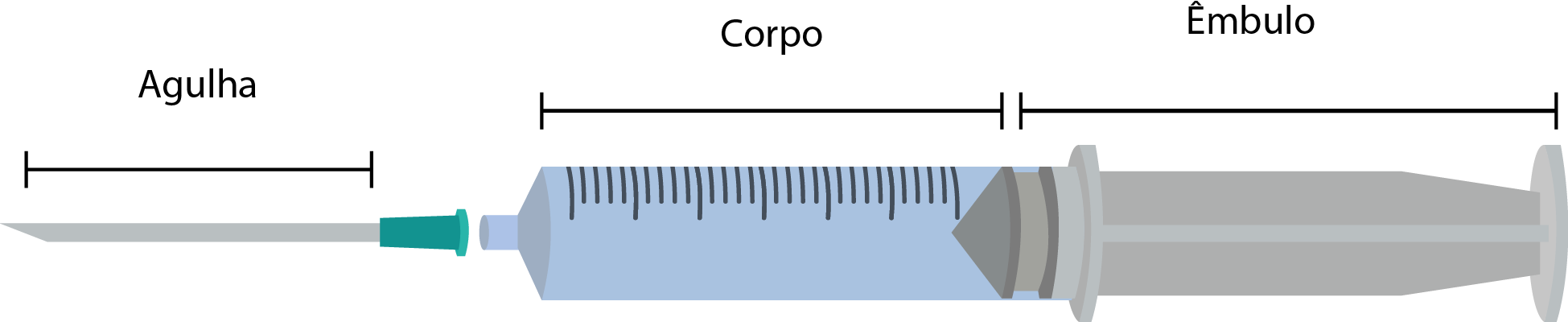 Em Seguida Montar A Seringa, Colocando O Corpo Na Mão (1949x400), Png Download